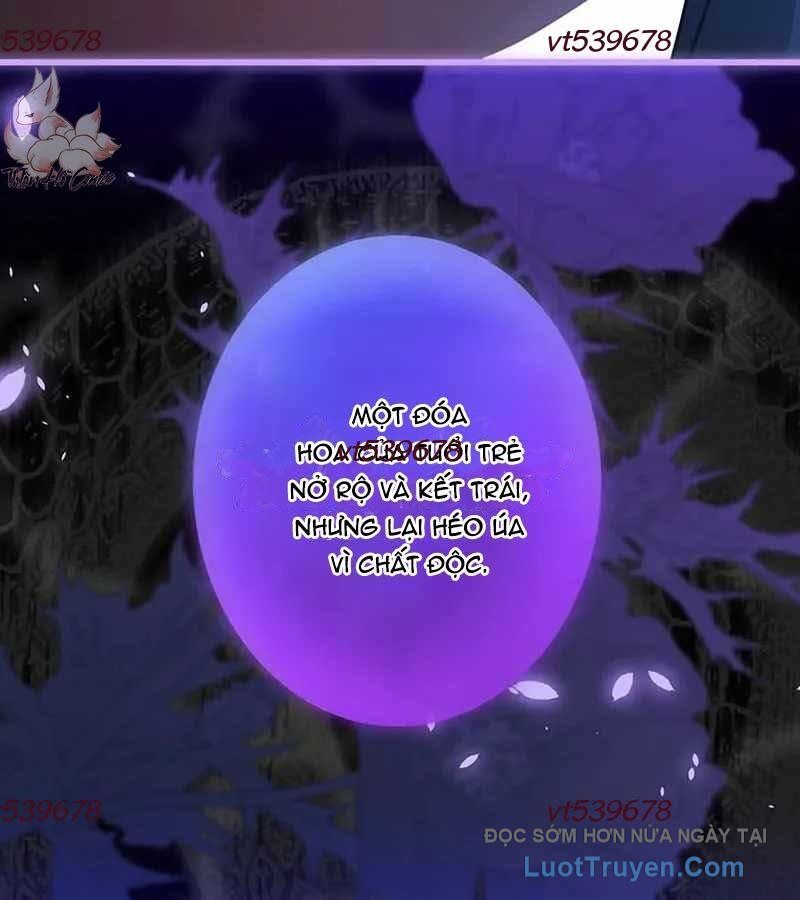 Quý Tộc Chiến Đấu Chapter 5 - 162