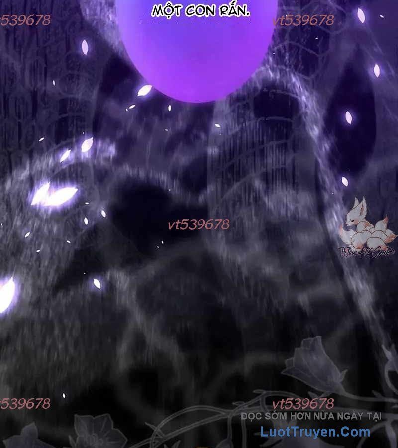 Quý Tộc Chiến Đấu Chapter 5 - 164