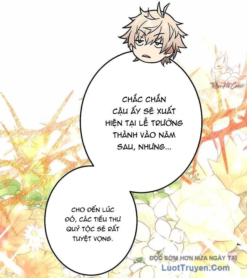 Quý Tộc Chiến Đấu Chapter 5 - 64