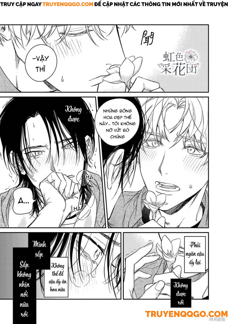 Nụ Hôn Cho Kẻ Trộm Hoa Chapter 3 - 28