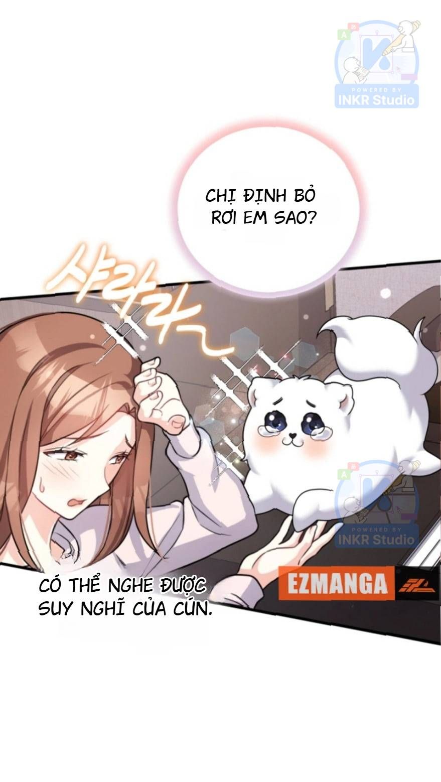 Chú Cún Con Đầy Nam Tính Chapter 1 - 41