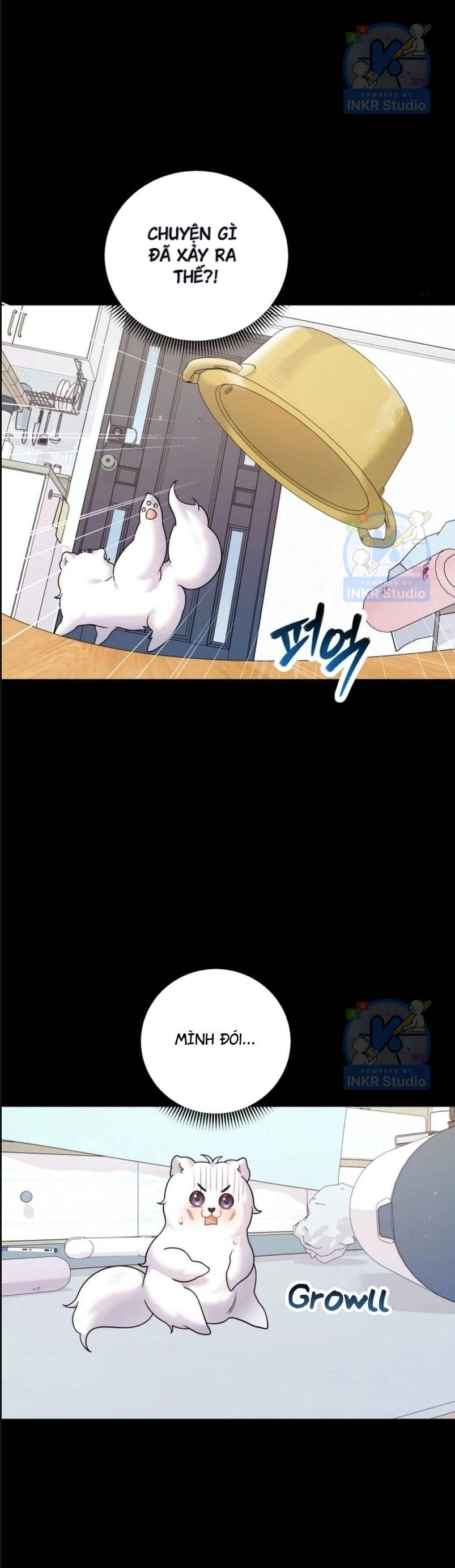 Chú Cún Con Đầy Nam Tính Chapter 3.1 - 14