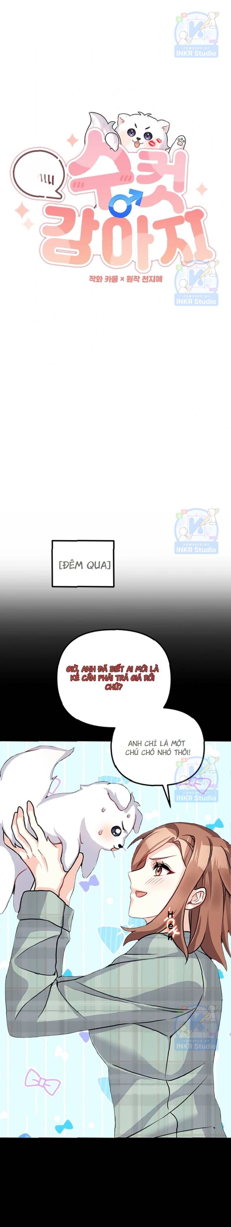 Chú Cún Con Đầy Nam Tính Chapter 5 - 11