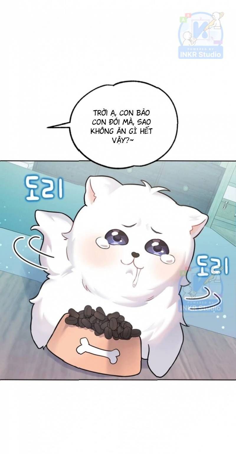 Chú Cún Con Đầy Nam Tính Chapter 7.42 - 34