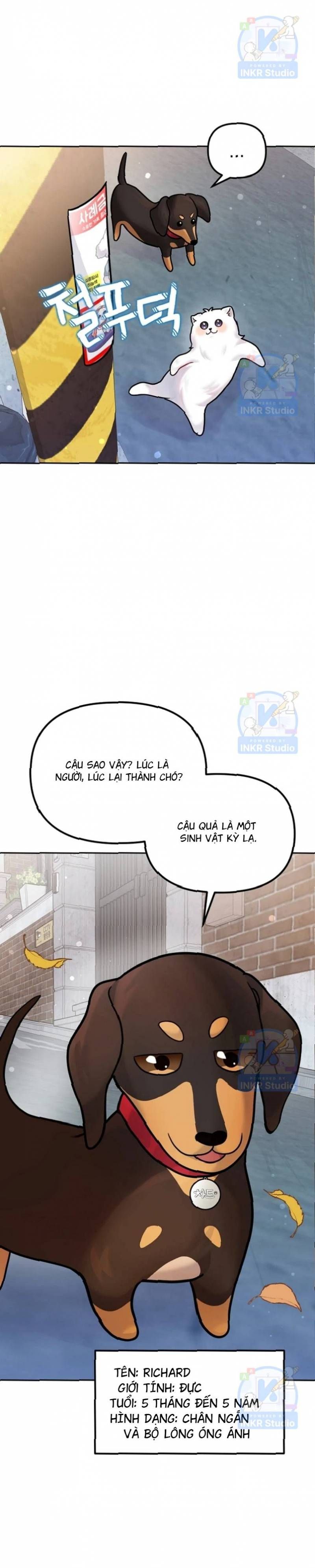 Chú Cún Con Đầy Nam Tính Chapter 9.42 - 48