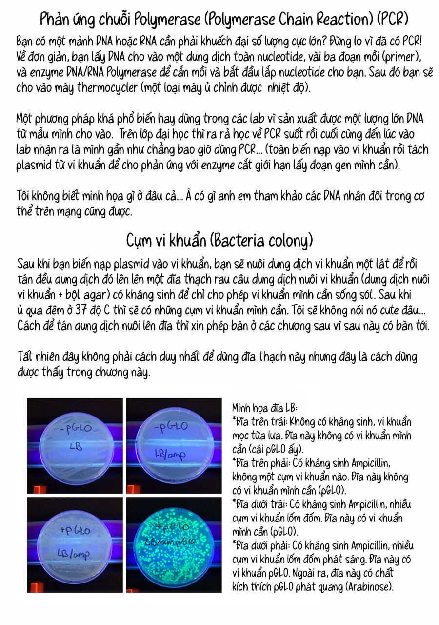 Lalalab☆ ~Gyaru, Khoa Học, và Thanh Xuân!~ Chapter 4 - 11