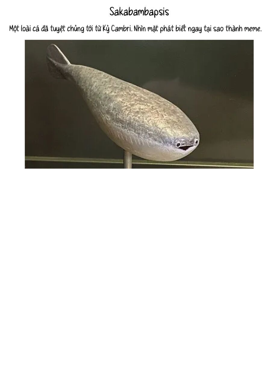 Lalalab☆ ~Gyaru, Khoa Học, và Thanh Xuân!~ Chapter 7 - 8