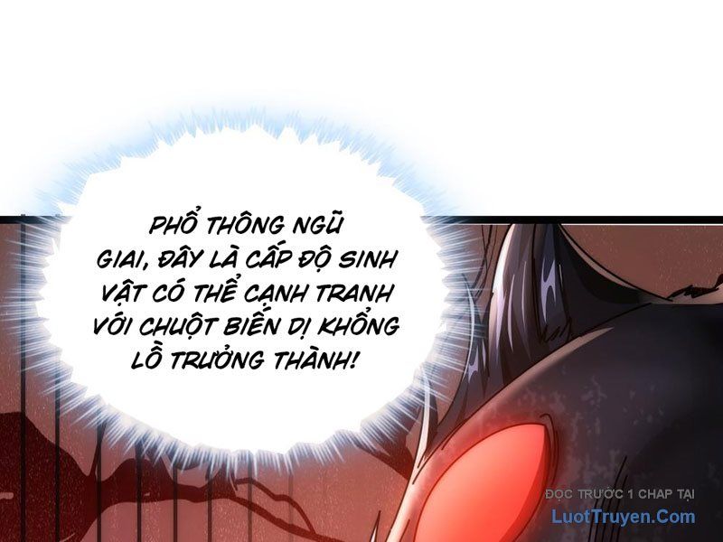 Vô Hạn Tiến Hóa Từ Con Số 0 Chapter 11 - 185