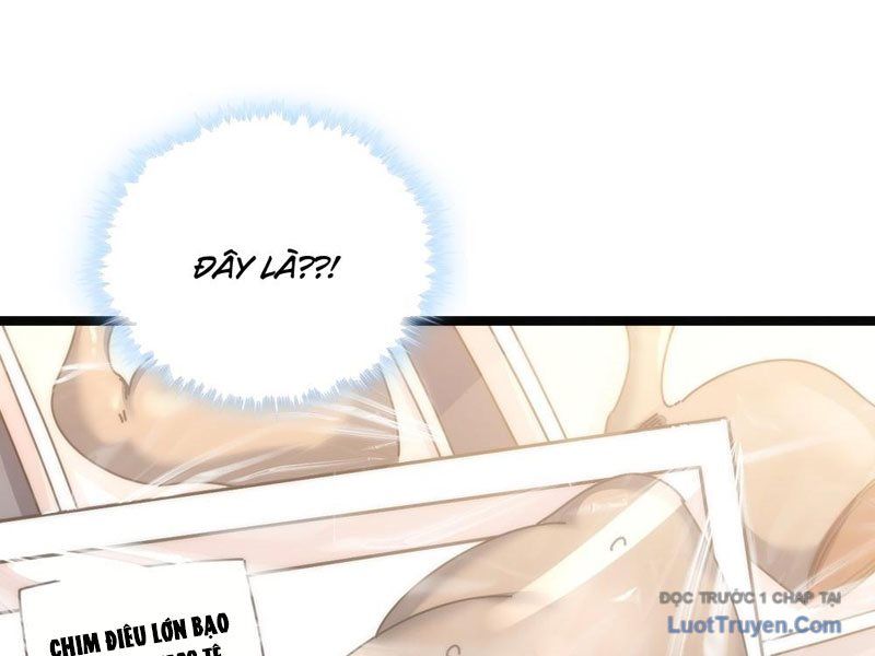 Vô Hạn Tiến Hóa Từ Con Số 0 Chapter 11 - 226