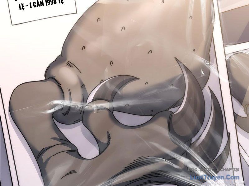 Vô Hạn Tiến Hóa Từ Con Số 0 Chapter 11 - 227