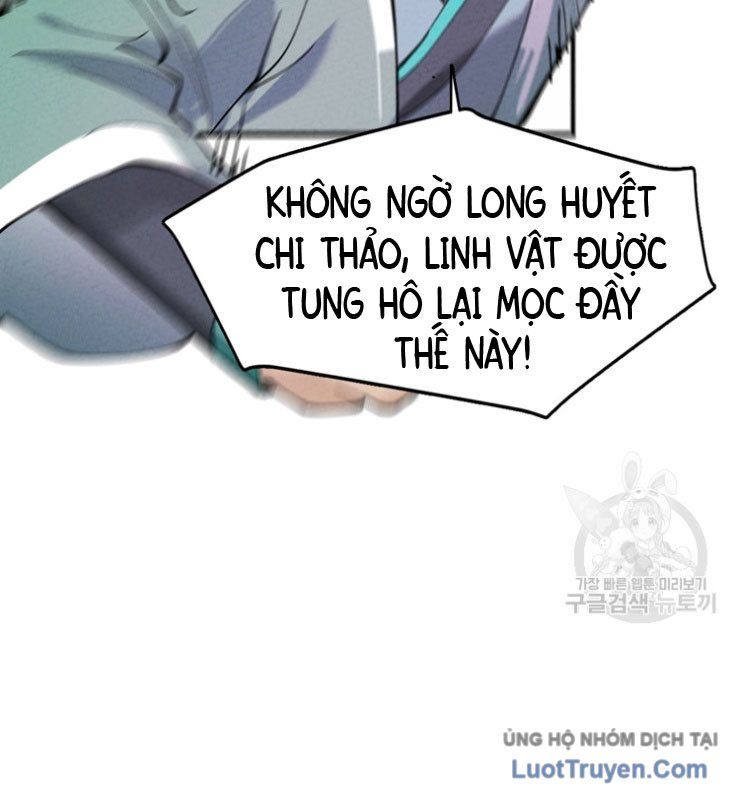 Linh Cấp Võ Giả Không Muốn Thăng Cấp Chapter 1 - 27