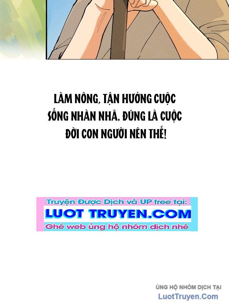 Linh Cấp Võ Giả Không Muốn Thăng Cấp Chapter 2 - 44