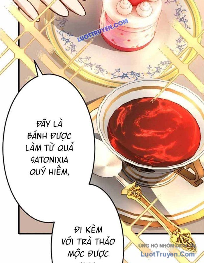 Pháp Sư Hỗ Trợ Bị Trục Xuất Trở Thành Hiền Giả Mạnh Nhất Chapter 3 - 21