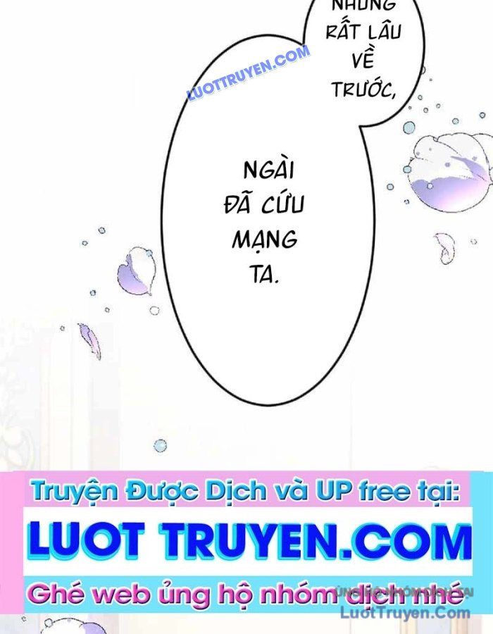 Pháp Sư Hỗ Trợ Bị Trục Xuất Trở Thành Hiền Giả Mạnh Nhất Chapter 3 - 81