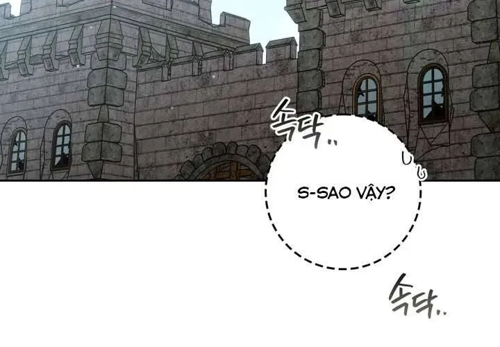 Dưới Bóng Cây Sồi Chapter 121 - 227