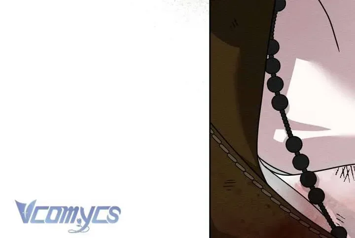 Dưới Bóng Cây Sồi Chapter 121 - 236