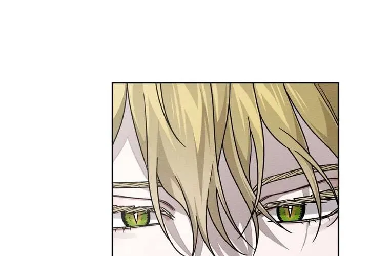 Dưới Bóng Cây Sồi Chapter 121 - 58