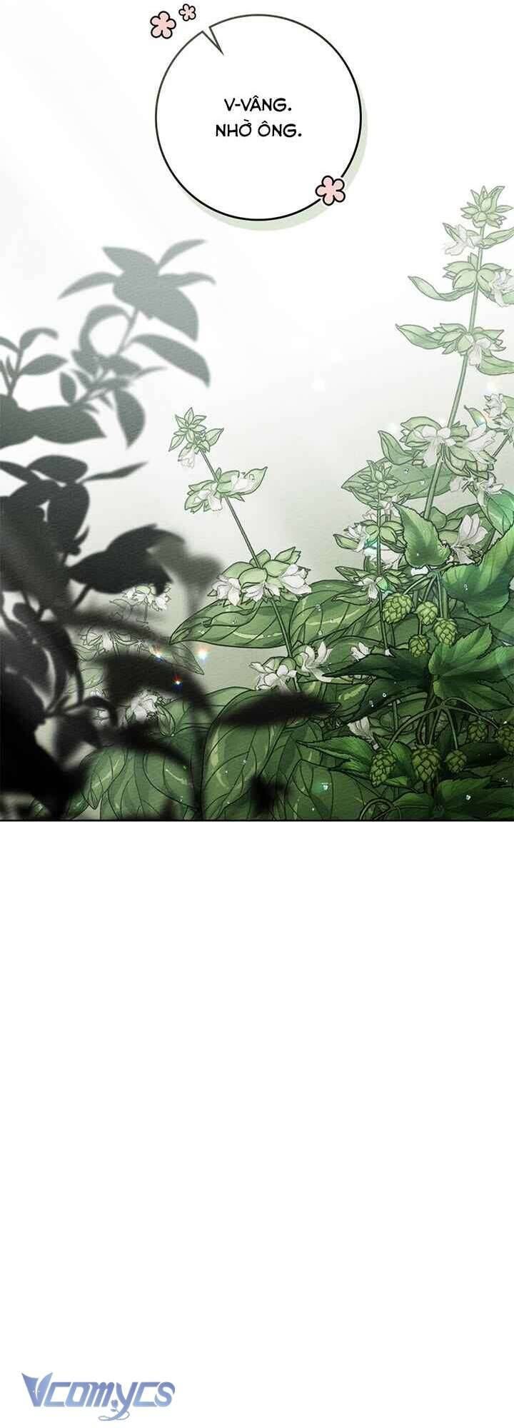 Dưới Bóng Cây Sồi Chapter 91 - 23