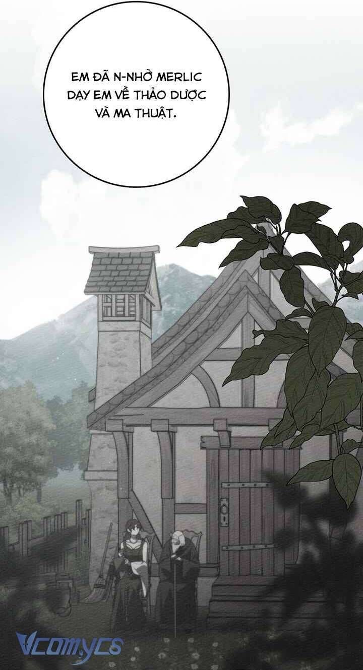 Dưới Bóng Cây Sồi Chapter 91 - 29