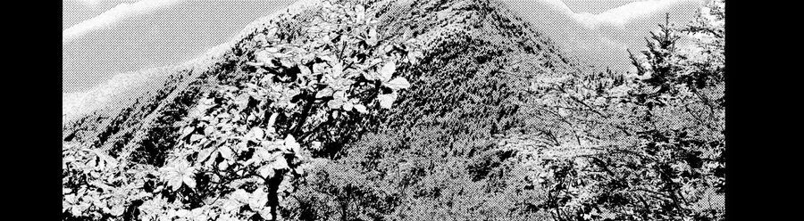 Alice In Borderland Chapter 14 - 40