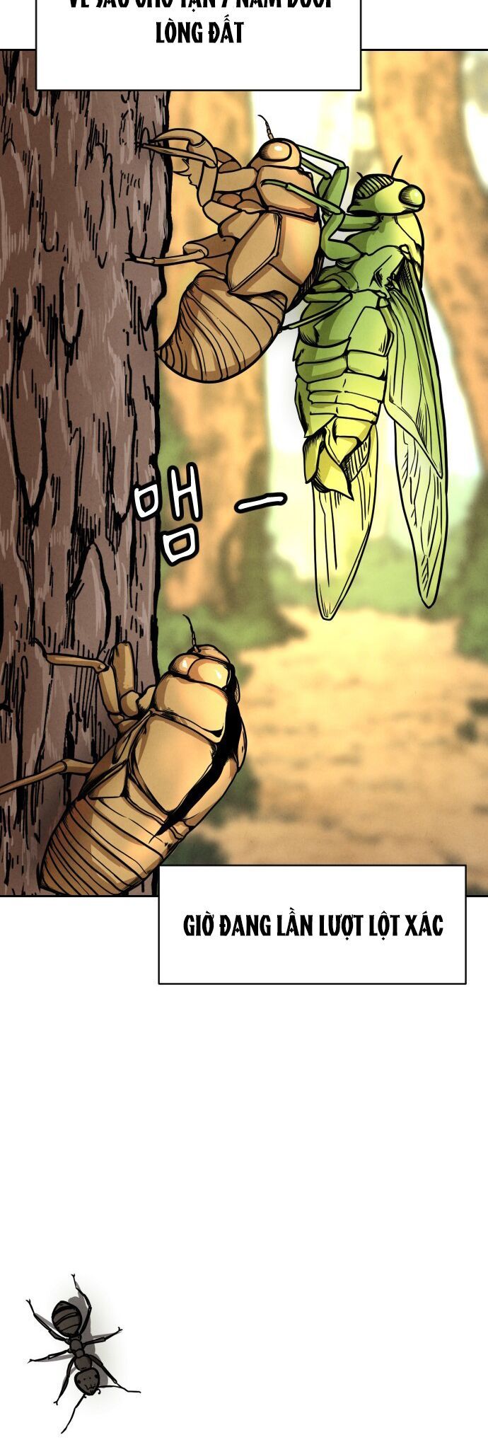 Vỏ Bọc Chapter 2 - 3