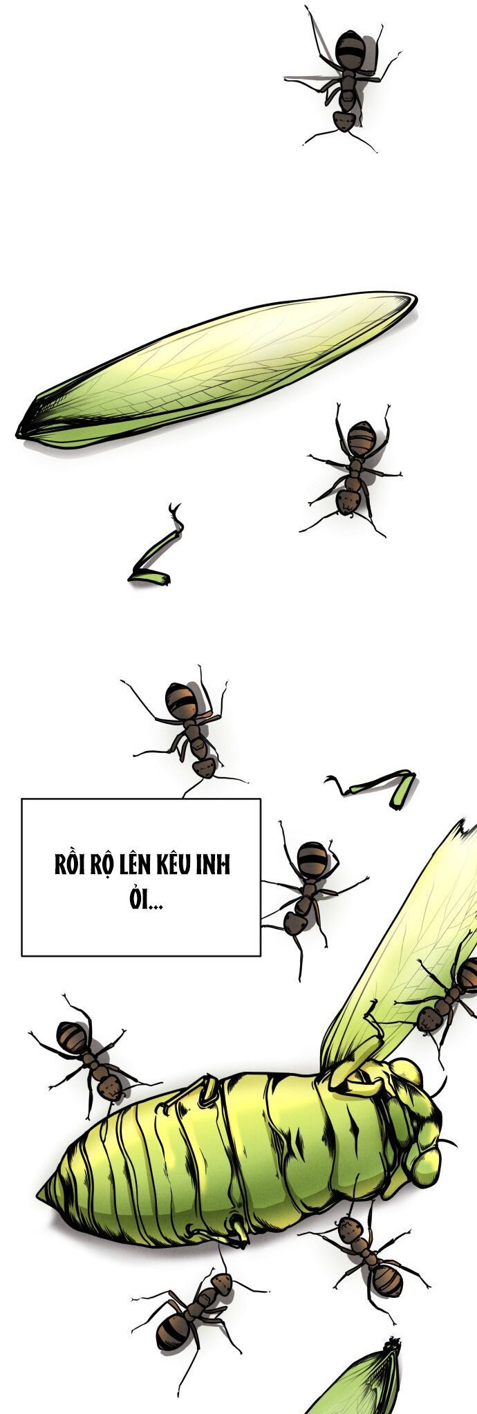 Vỏ Bọc Chapter 2 - 4