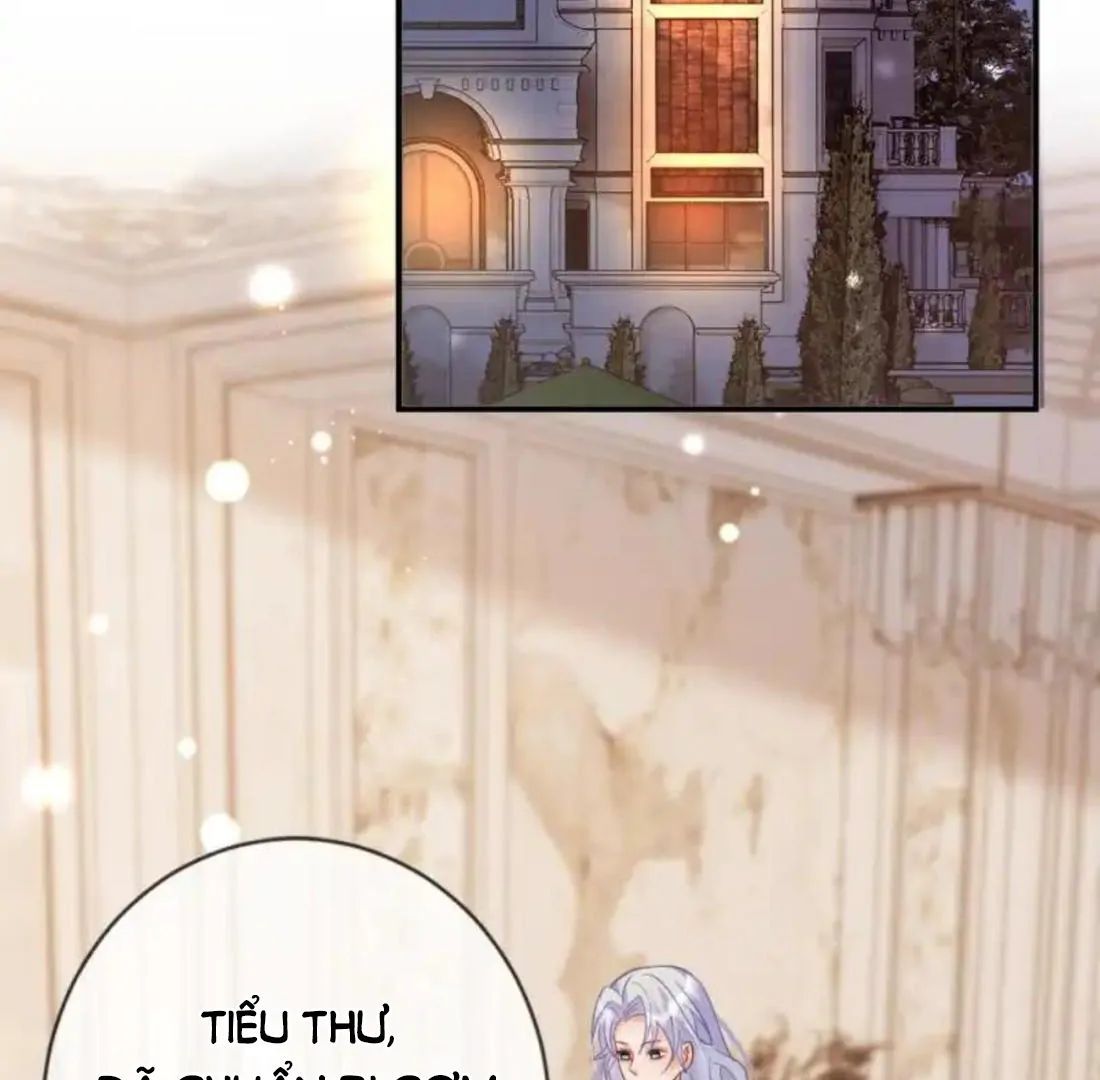 Nữ Chính Hắc Nguyệt Quang Luôn Muốn Đánh Dấu Tôi Chapter 16 - 52