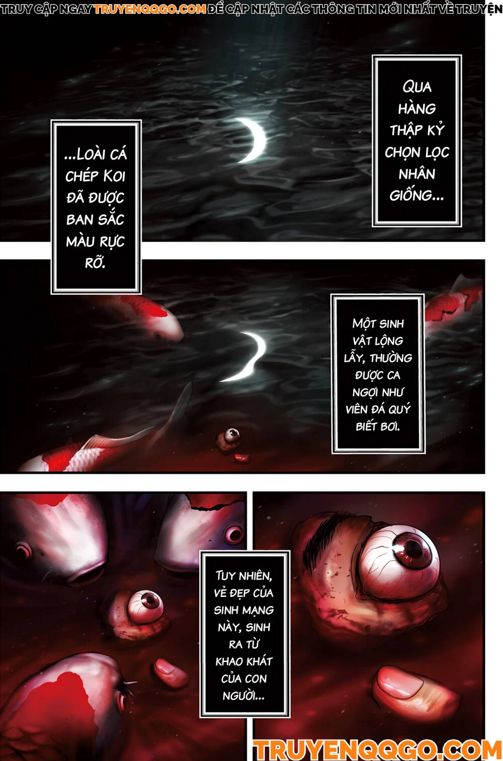 Cá Koi Nishiki Chapter 1 - 1