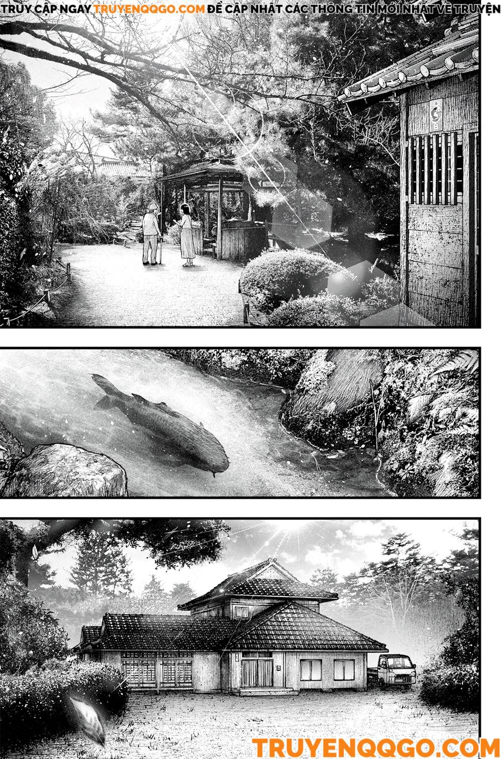 Cá Koi Nishiki Chapter 1 - 3