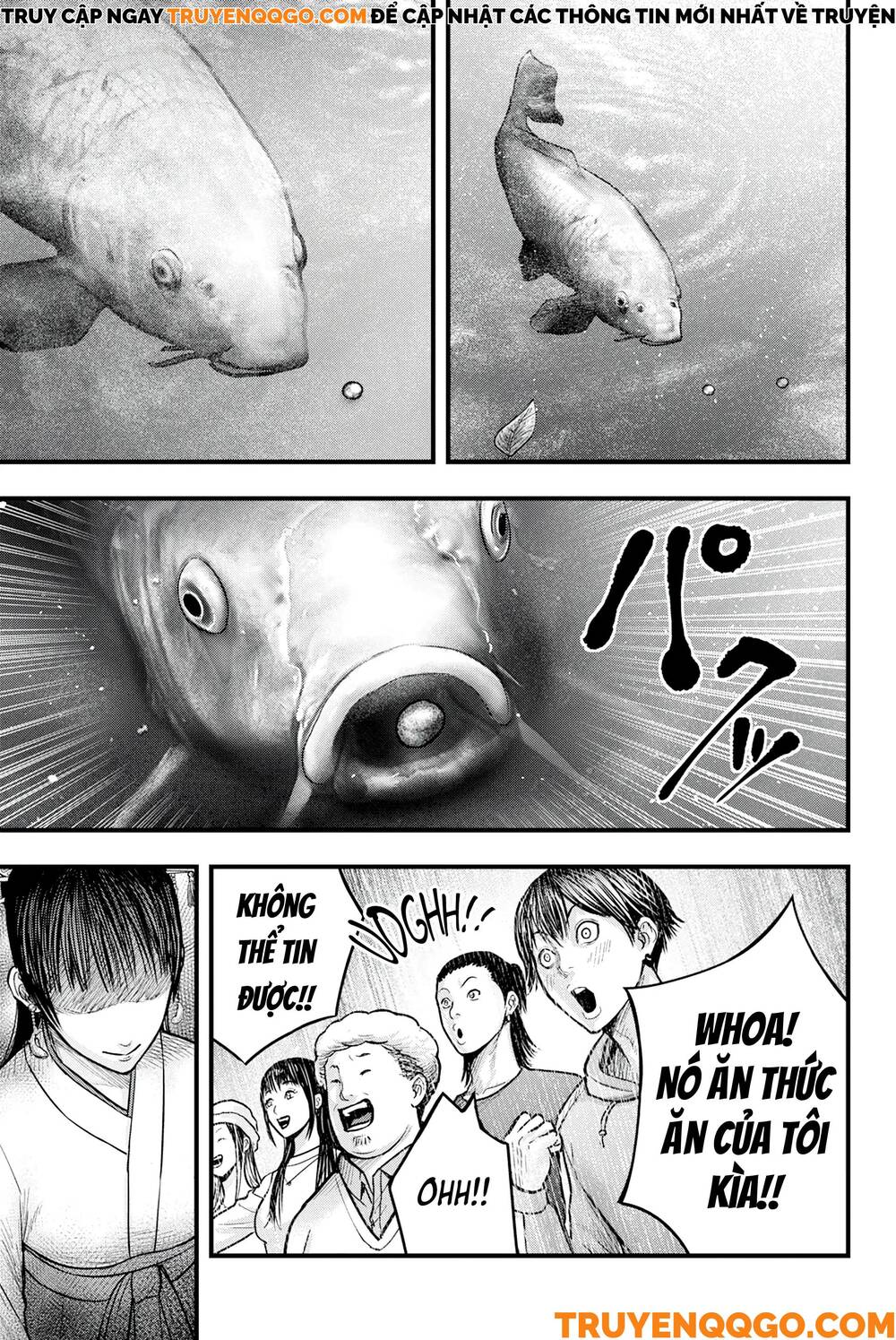 Cá Koi Nishiki Chapter 1 - 31