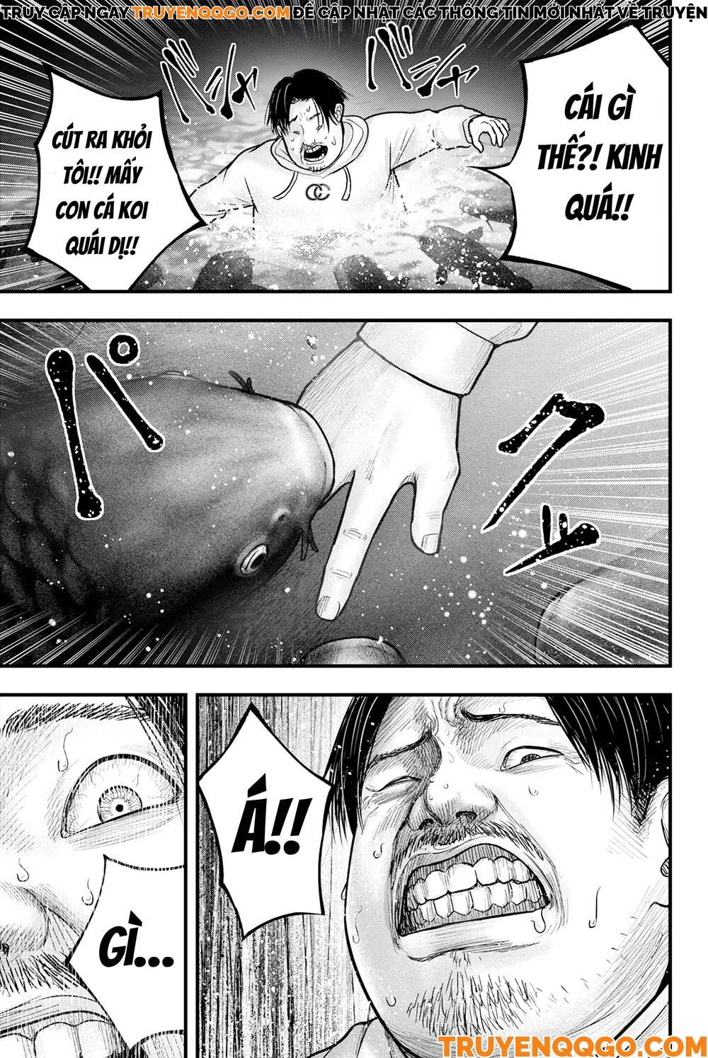 Cá Koi Nishiki Chapter 1 - 41