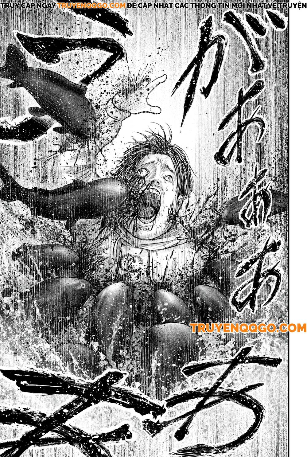 Cá Koi Nishiki Chapter 1 - 43
