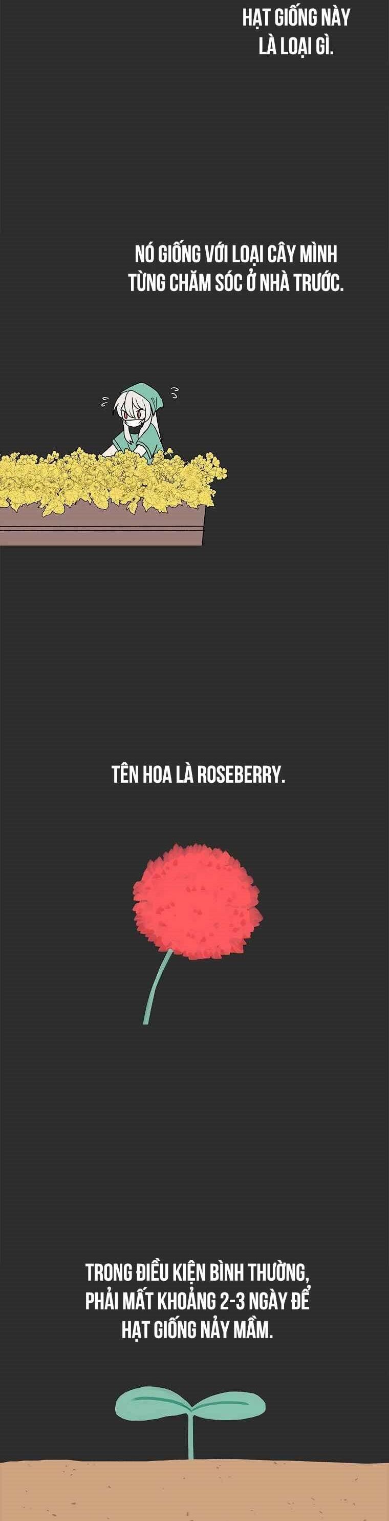 Một Mảnh Thời Gian Chapter 5 - 9