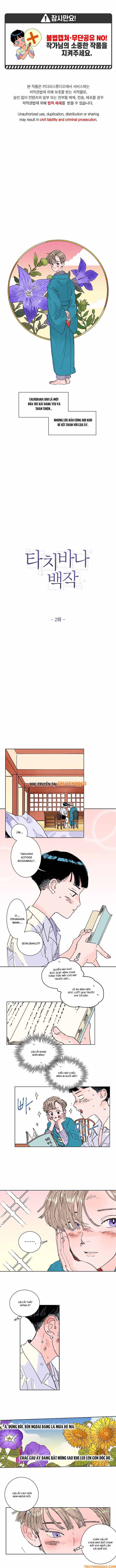 Bá Tước Tachibana Chapter 2 - 2
