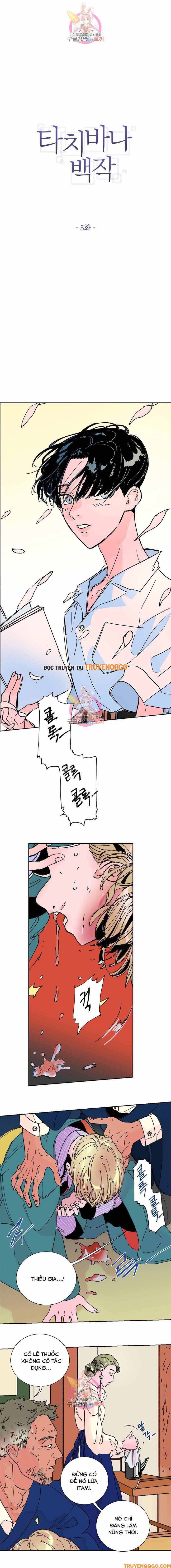 Bá Tước Tachibana Chapter 3 - 2