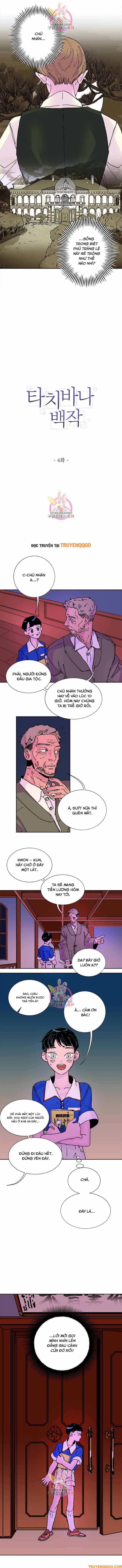 Bá Tước Tachibana Chapter 4 - 2