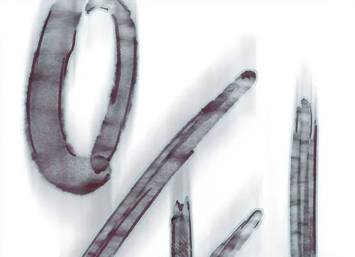 Block Chapter 1 - 261