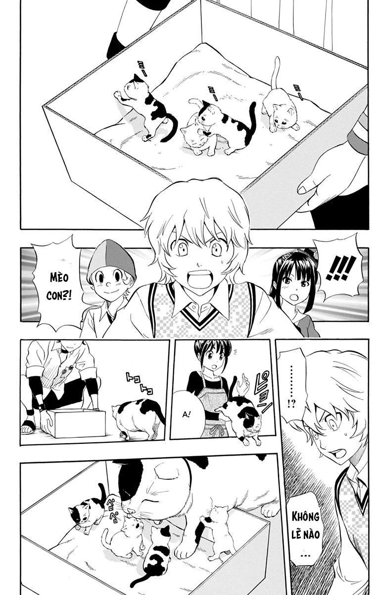 Sket Dance Chapter 215 - 3