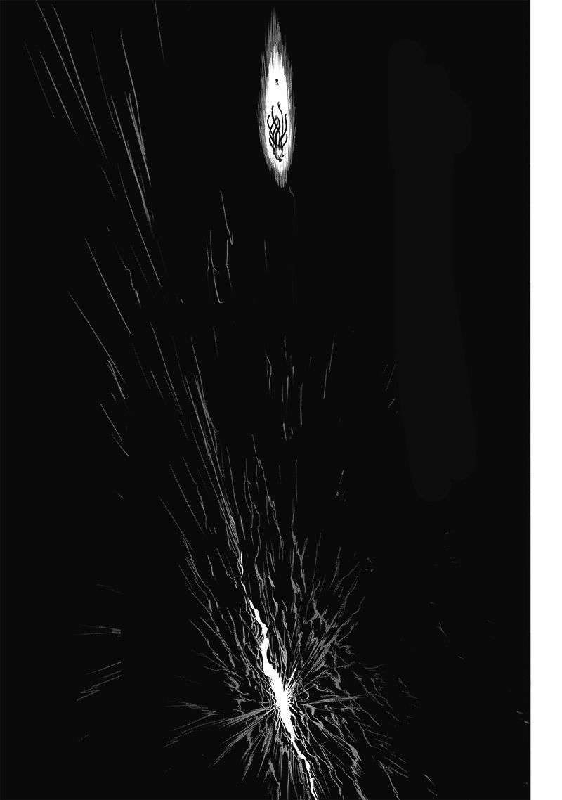 Onepunch Man Chapter 196.1 - 12