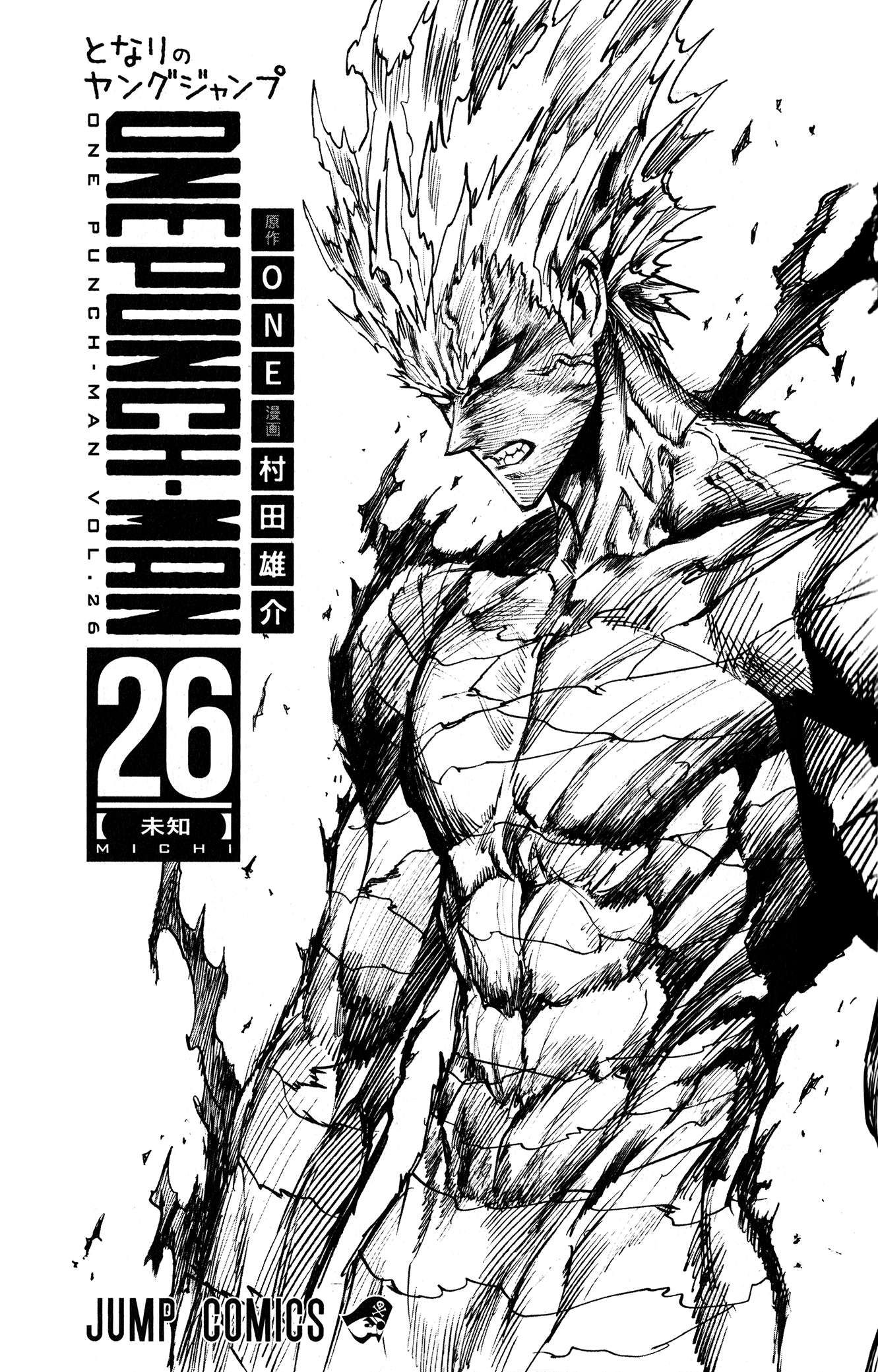 Onepunch Man Chapter 212.5 - 12
