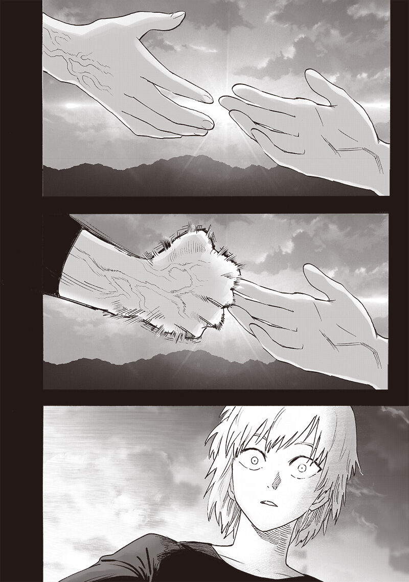 Onepunch Man Chapter 256 - 3