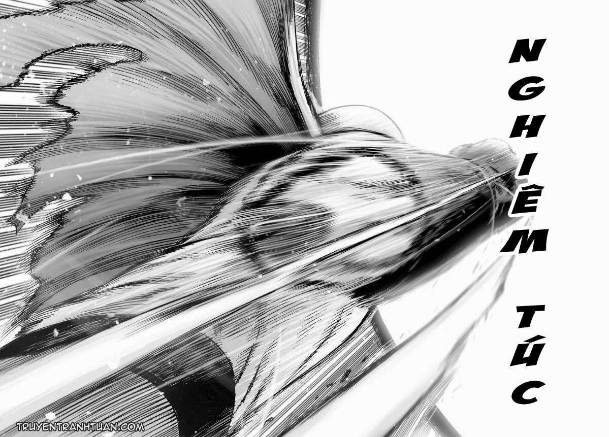 Onepunch Man Chapter 47.2 - 24