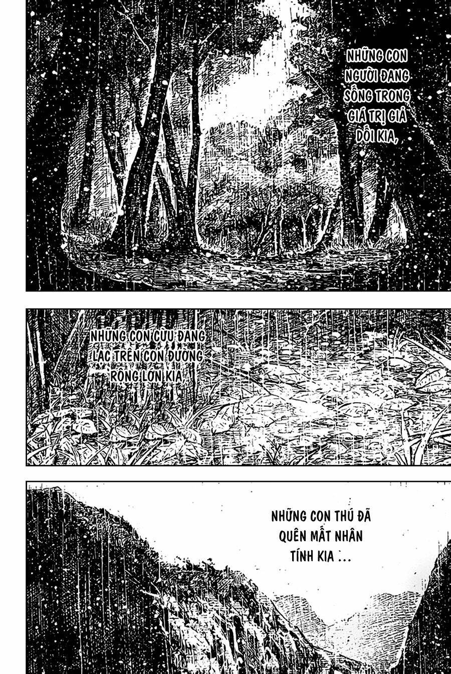 Hỏa Phụng Liêu Nguyên Chapter  406 - 20