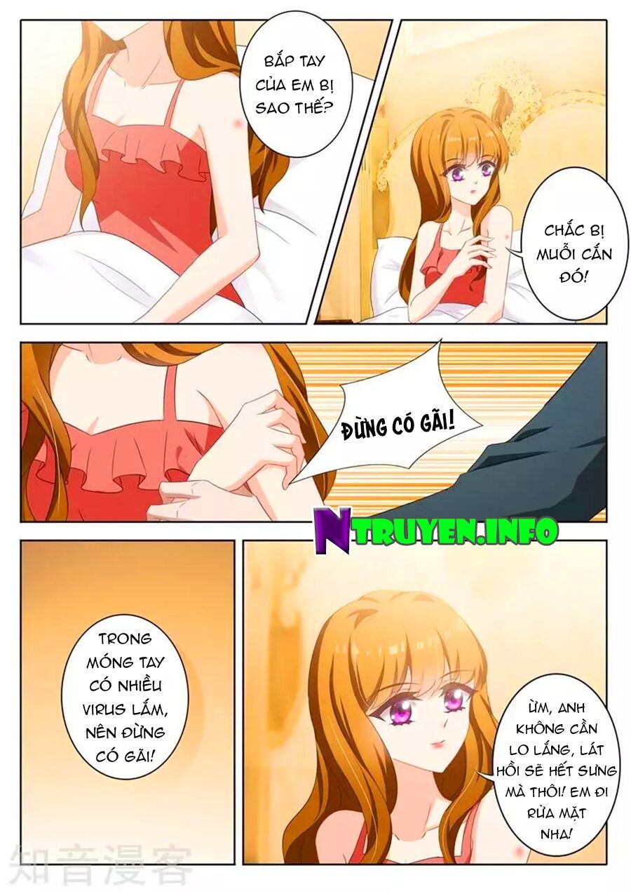 Hào Môn Thiên Giới Tiền Thê Chapter 341 - 3