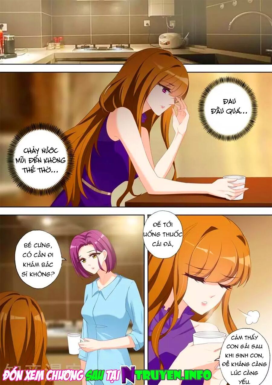 Hào Môn Thiên Giới Tiền Thê Chapter 347 - 9