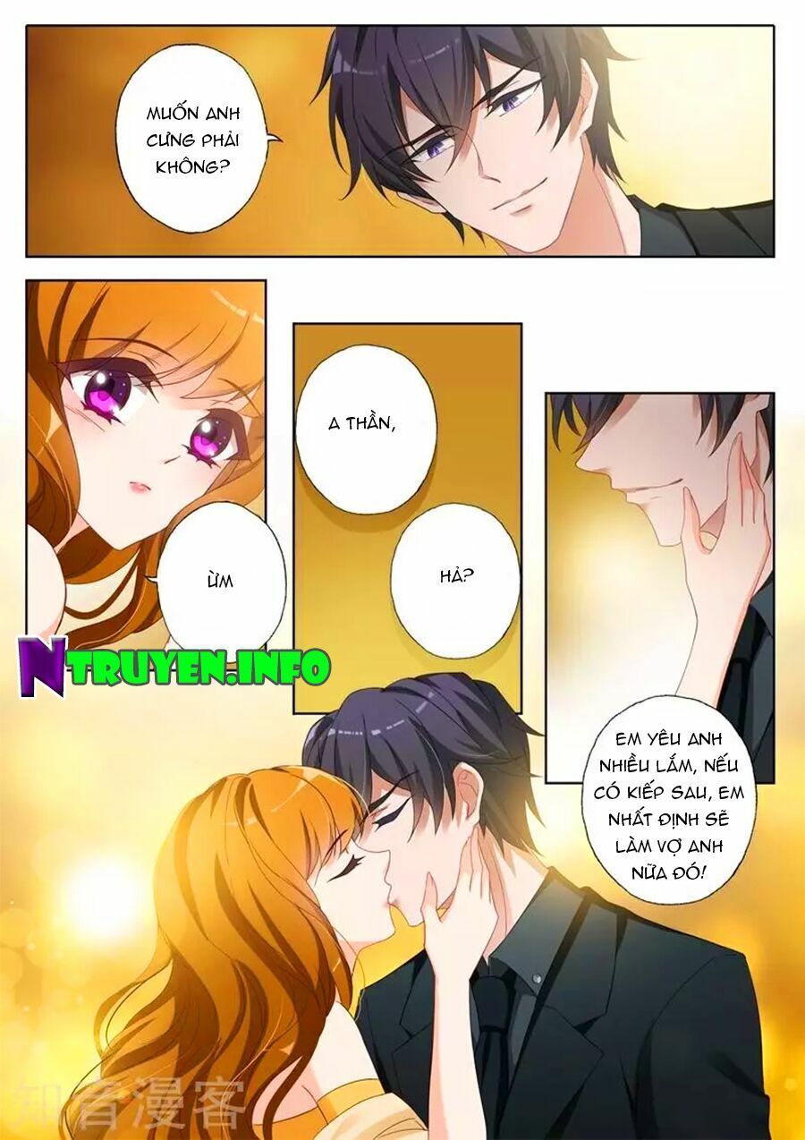 Hào Môn Thiên Giới Tiền Thê Chapter 354 - 8