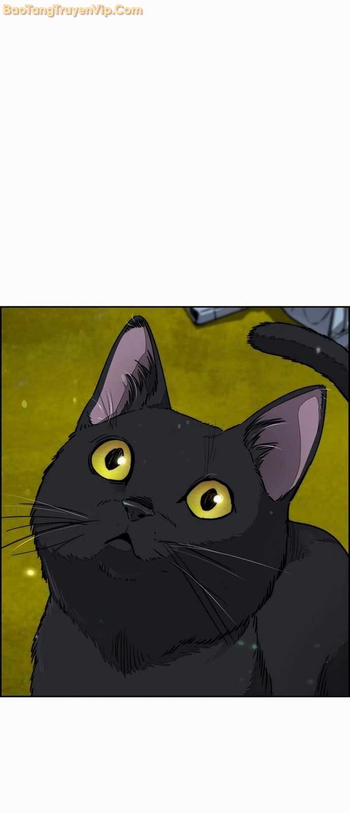 Thể Thao Cực Hạn Chapter 549 - 88