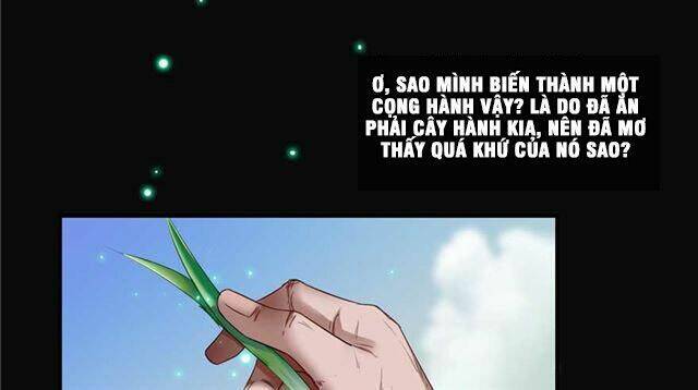 Tu Chân Nói Chuyện Phiếm Quần Chapter 158.1 - 13