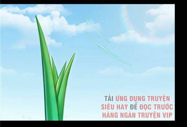 Tu Chân Nói Chuyện Phiếm Quần Chapter 158.3 - 73