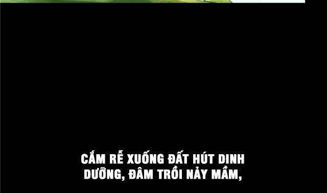 Tu Chân Nói Chuyện Phiếm Quần Chapter 158.4 - 62